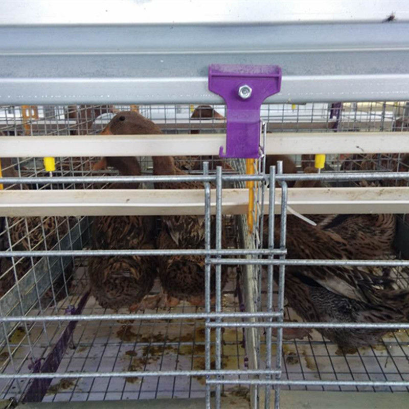 Os equipamentos de Duck Cage Laying Duck Farming da fábrica de China 3 séries mergulham Duck Poultry Cages