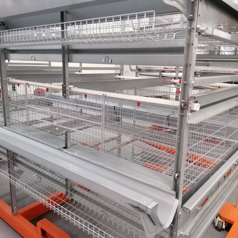 As aves domésticas de alta qualidade Duck Cage, U dão forma à bateria de aço Duck Cage For Sale