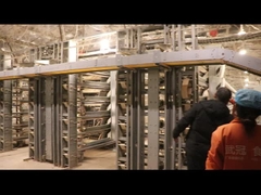 Gaiola automática de codorna camada