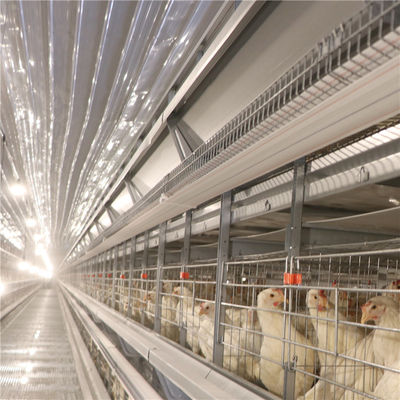 Oposição da corrosão da exploração avícola da gaiola da galinha da camada da bateria do ovo do GV